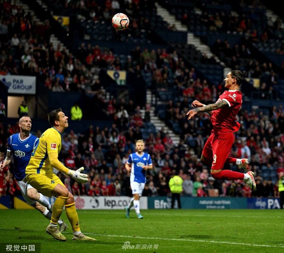 团队协作和 团队协作和